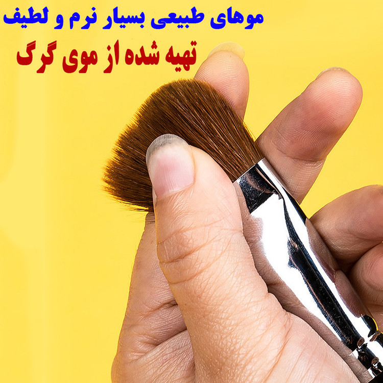 ست قلمو زبان گربه ای بورنس مدل موی گرگ کد Wolf-FR6 بسته 6 عددی