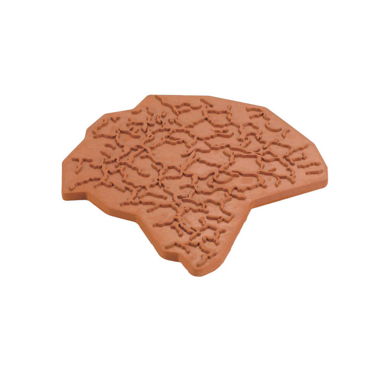 ابزار پتینه مدل ابزار طرح ترک کد SBCS