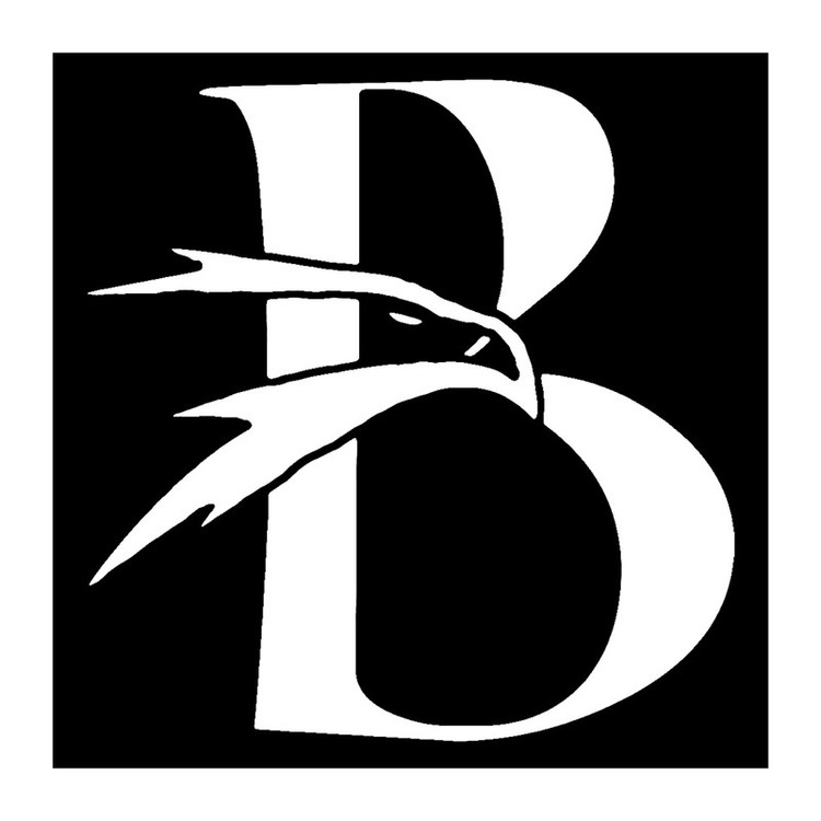 شابلون باتیس آرت طرح B کد 842