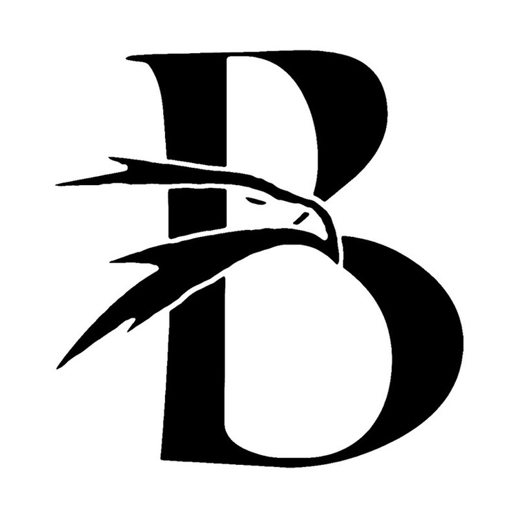 شابلون باتیس آرت طرح B کد 842