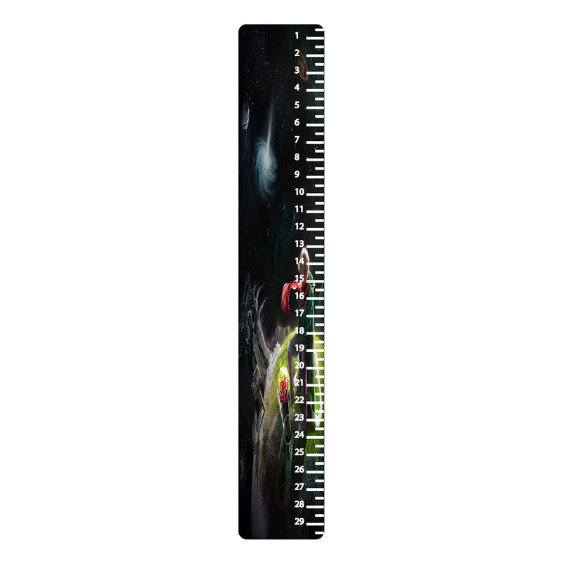 خط کش 30 سانتی متر طرح شازده کوچولو کد 789