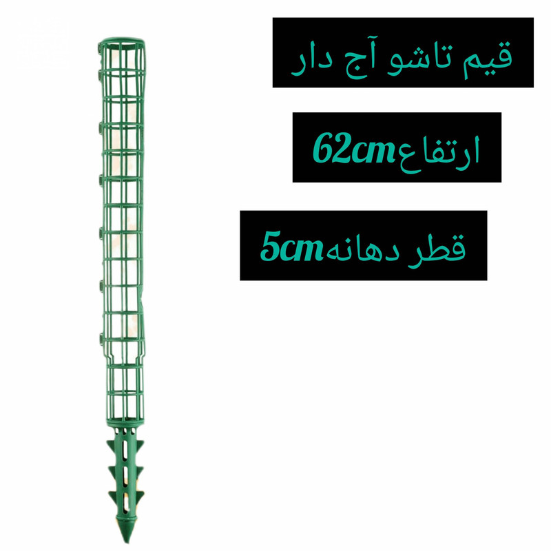 قیم بند مدل پتوس بدون خزه