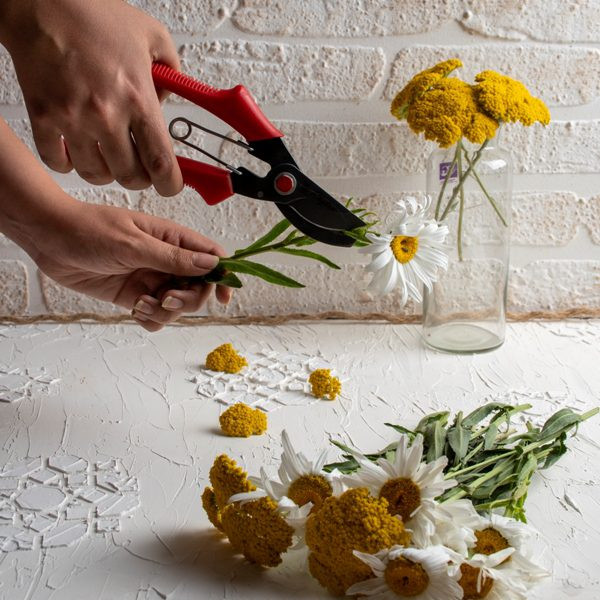 قیچی باغبانی دندانه‌دار مدل BD3170