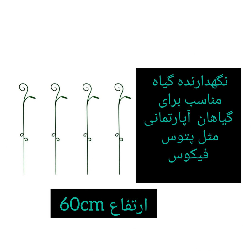 قیم بند مدل پتوس بسته 4 عددی