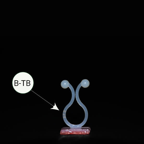گیره پتوس مدل tb باکس 10 عددی