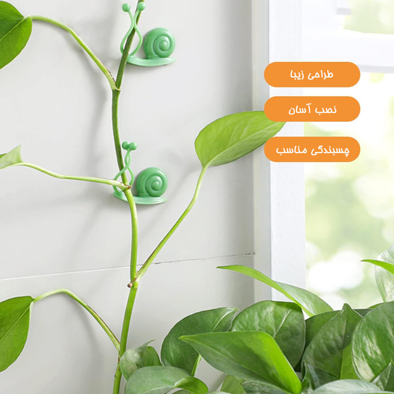 گیره گل رونده طرح حلزون بسته 10 عددی