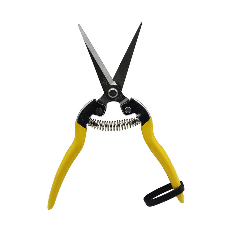 قیچی میوه چینی تاپکس مدل سر صاف کد YP-TP8008-BOLAND-200 سایز 8 اینچ