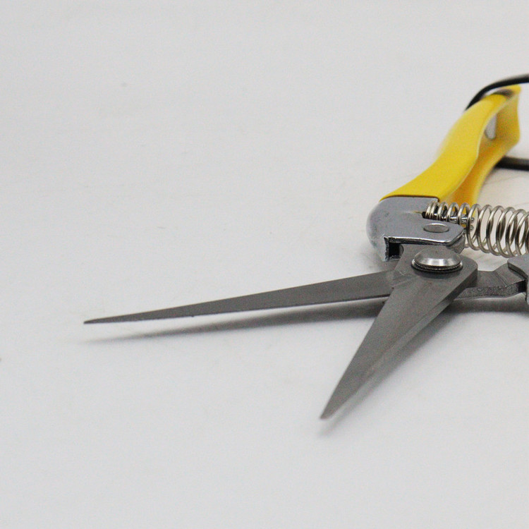 قیچی میوه چینی تاپکس مدل سر صاف کد YP-TP8008-BOLAND-200 سایز 8 اینچ