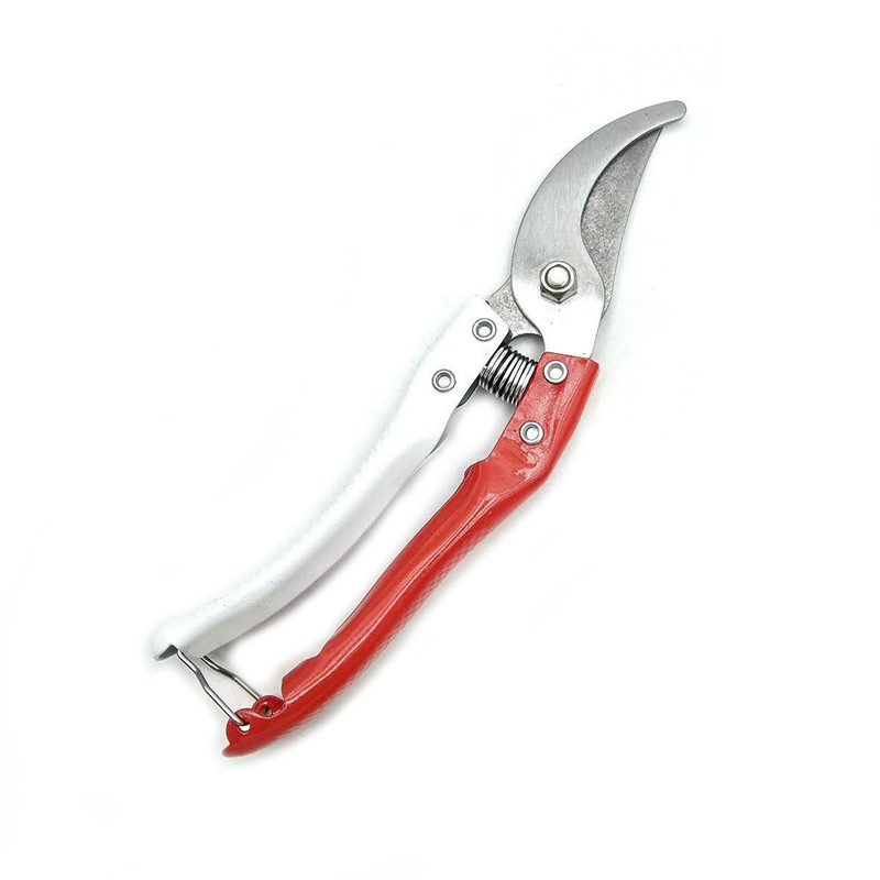 قیچی باغبانی شاخه زن راویکس مدل  SHARP-CUTING-21CM