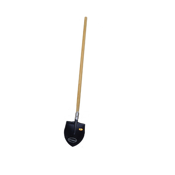 بیل ممتاز کد 3172