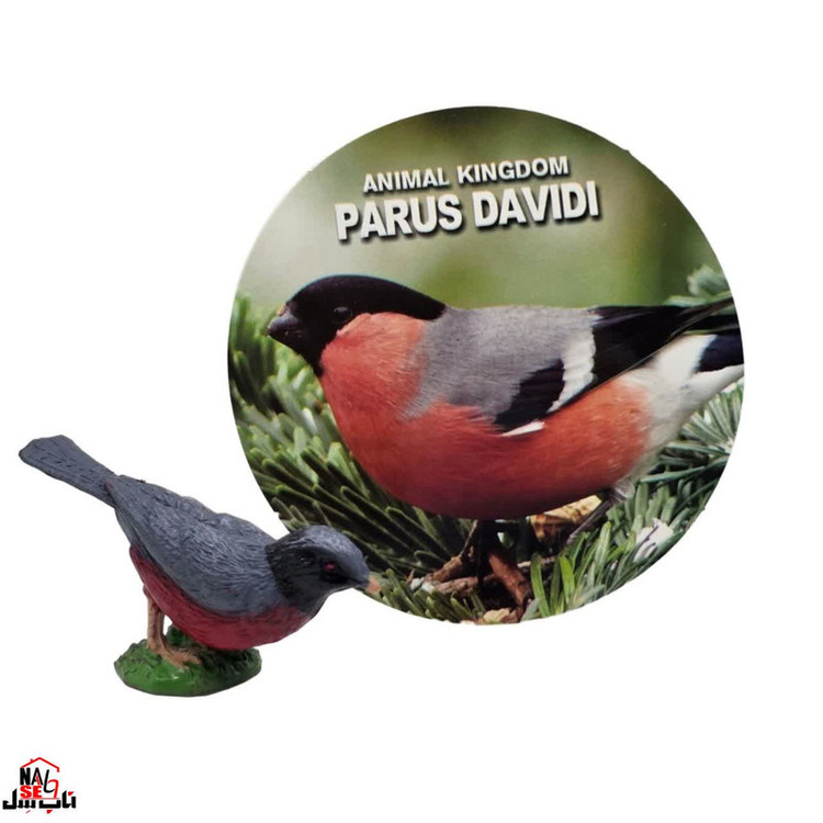 فیگور ناب سل مدل پرنده کد PARUS DAVIDI NAAB006 ارتفاع 3 سانتی متر