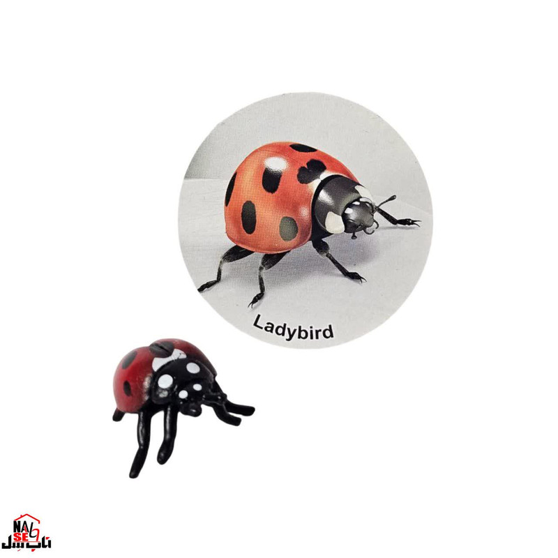 فیگور ناب سل مدل کفشدوزک LADY BIRD ارتفاع 2 سانتی متر