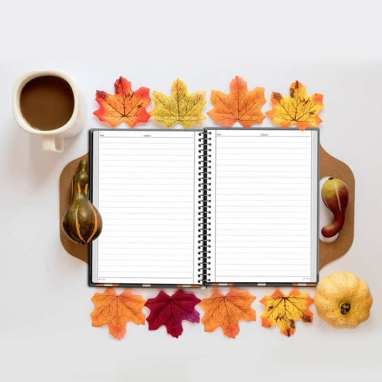 دفتر مشق 50 برگ مستر راد طرح پنجه های رنگی کد fiory 2705