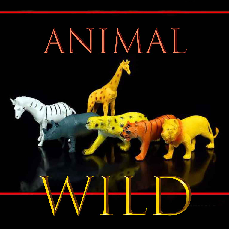 فیگور طرح حیوانات جنگل مدل ANIMAL WILD مجموعه 6 عددی