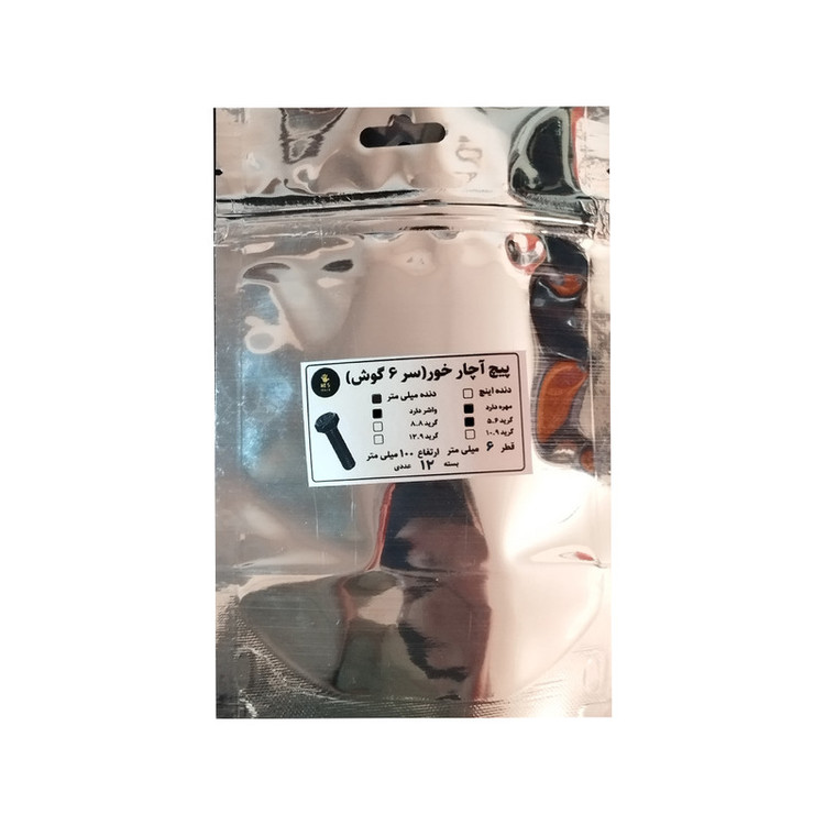 پیچ و مهره و واشر HI5 مدل HI5 6Mx100MM بسته 12 عددی