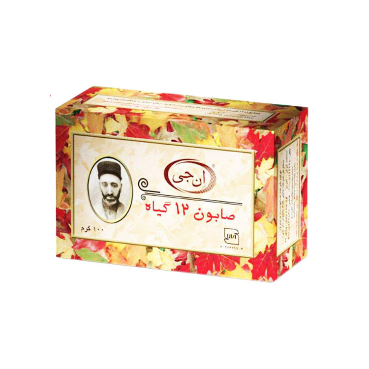 صابون شستشو انجی مدل 12گیاه وزن 108 گرم
