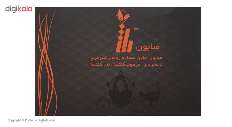 صابون شتر مرغ راژ مدل Professional formula وزن 75 گرم