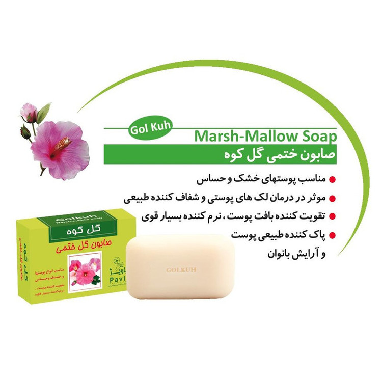 صابون شستشو گل کوه مدل ختمی وزن 100 گرم