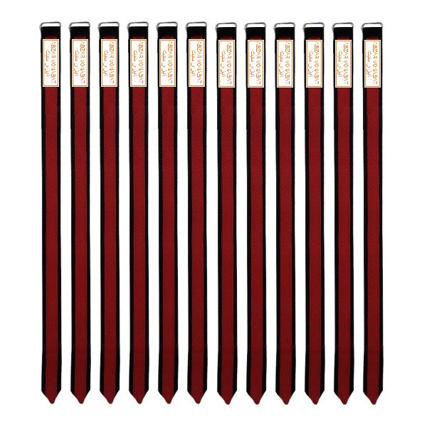 بست کمربندی مدل HB-04-25100 بسته 12 عددی