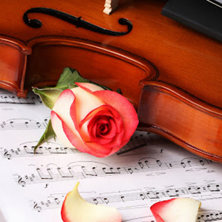 دفتر نت موسیقی مستر راد مدل جغد طرح آهنگ کد 1745 Music