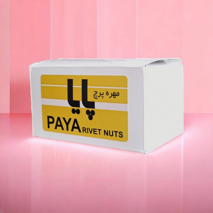 مهره پرچ پایا مدل لبه دار M10 کد PAYA69 مجموعه 100 عددی