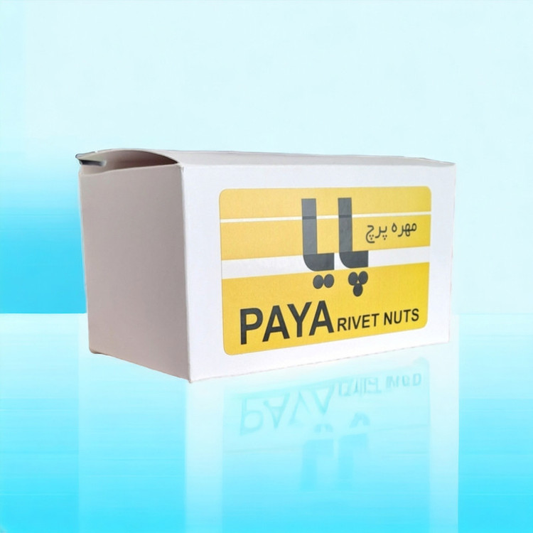 مهره پرچ پایا مدل لبه دار M10 کد PAYA69 مجموعه 100 عددی