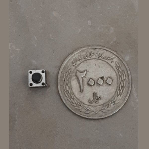 میکرو سوییچ کد 66 بسته 5 عددی