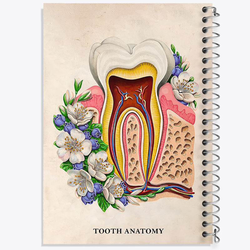 دفتر مشق 100 برگ خندالو طرح آناتومی دندان (Tooth Anatomy) کد F14012