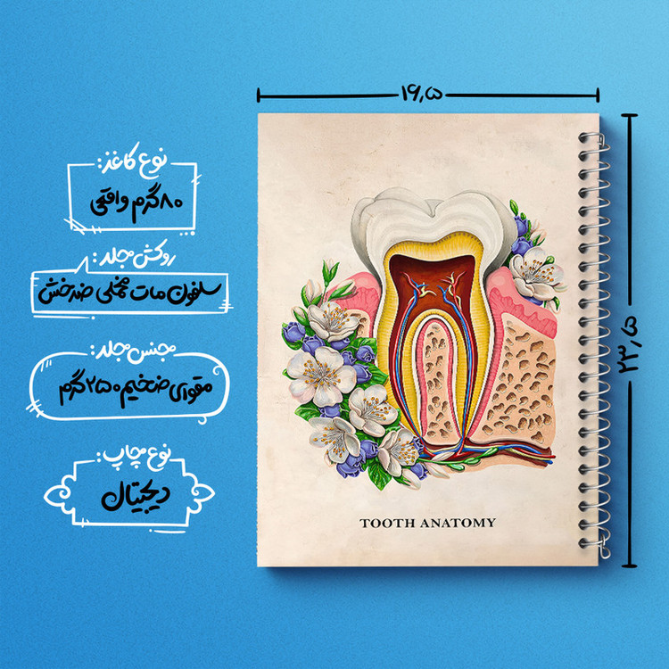 دفتر مشق 100 برگ خندالو طرح آناتومی دندان (Tooth Anatomy) کد F14012