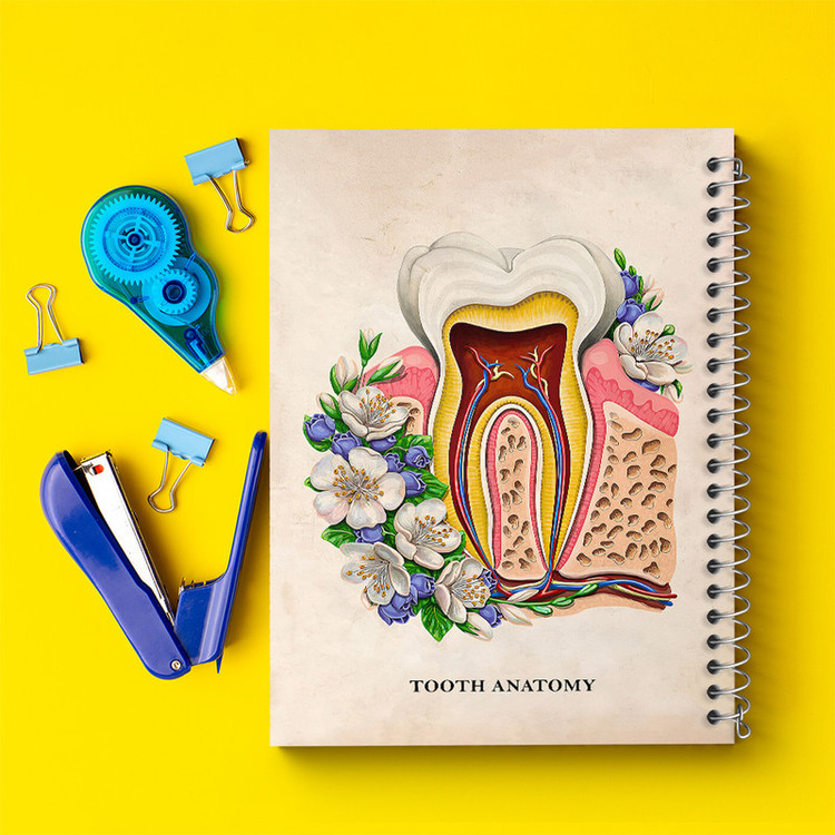 دفتر مشق 100 برگ خندالو طرح آناتومی دندان (Tooth Anatomy) کد F14012