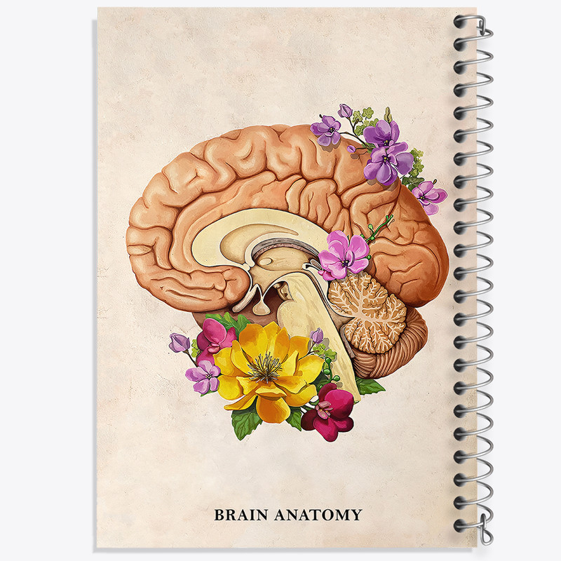 دفتر مشق 100 برگ خندالو طرح آناتومی مغز (Brain Anatomy) کد F14028