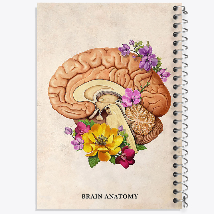 دفتر مشق 100 برگ خندالو طرح آناتومی مغز (Brain Anatomy) کد F14028