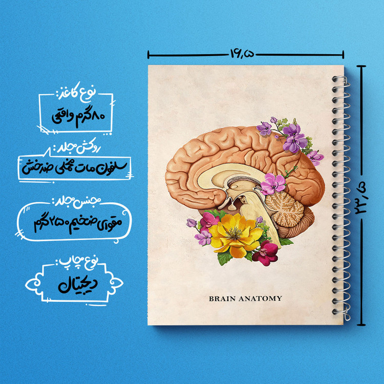 دفتر مشق 100 برگ خندالو طرح آناتومی مغز (Brain Anatomy) کد F14028