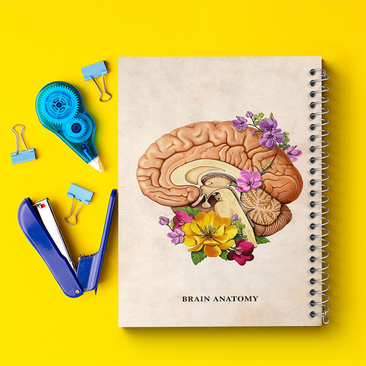 دفتر مشق 100 برگ خندالو طرح آناتومی مغز (Brain Anatomy) کد F14028