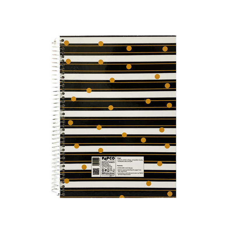 دفتر مشق 100 برگ پاپکو مدل PN-6170 کد DR508