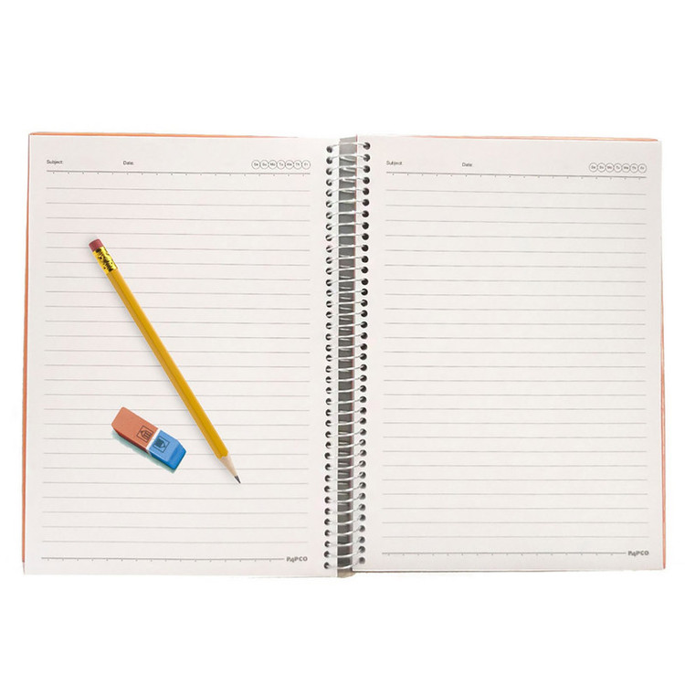 دفتر مشق 100 برگ پاپکو مدل PN-6170 کد DR507