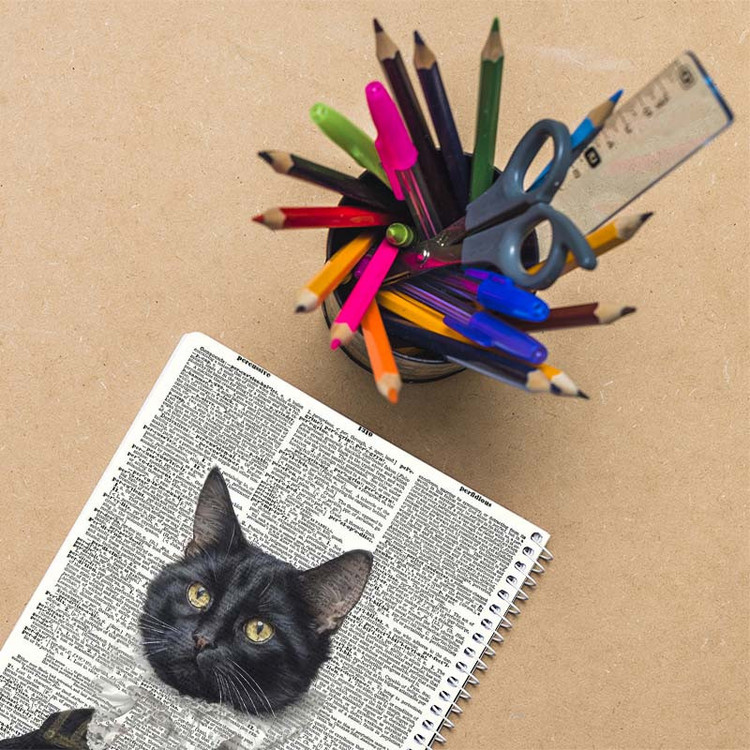دفتر نقاشی 50 برگ کارنیکا طرح روزنامه وینتج حیوانات Vintage Newspaper Animals کد 60584 مجموعه 4 عددی