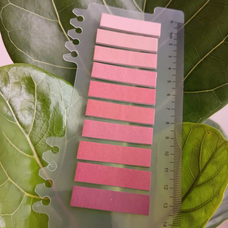 کاغذ یادداشت چسبدار مدل Tabs On Ruler طرح پاییز شرقی سایز 1*4.5 سانتی متر بسته 200 عددی