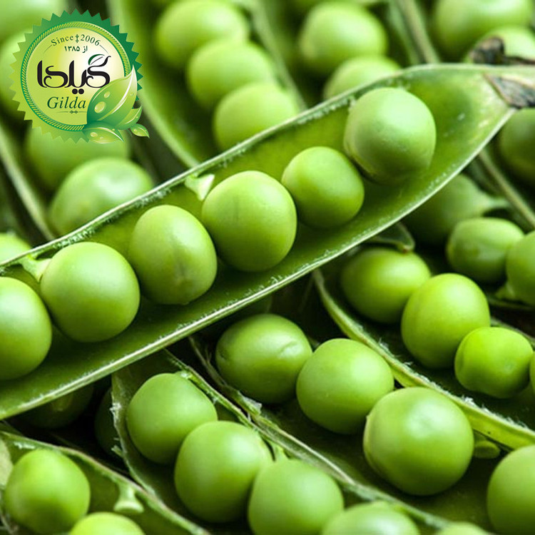 بذر صیفی جات گلدانی گیلدا کد 094 مجموعه 10 عددی