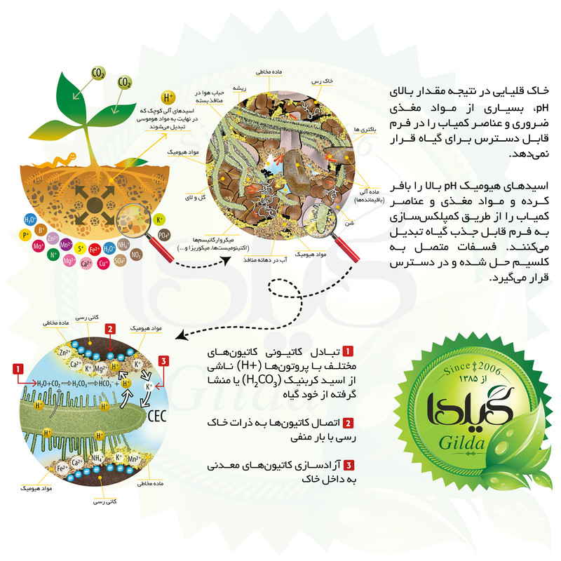 هیومیک اسید گرانول درخت و باغچه گیلدا مدل GHAG1 وزن 1 کیلوگرم