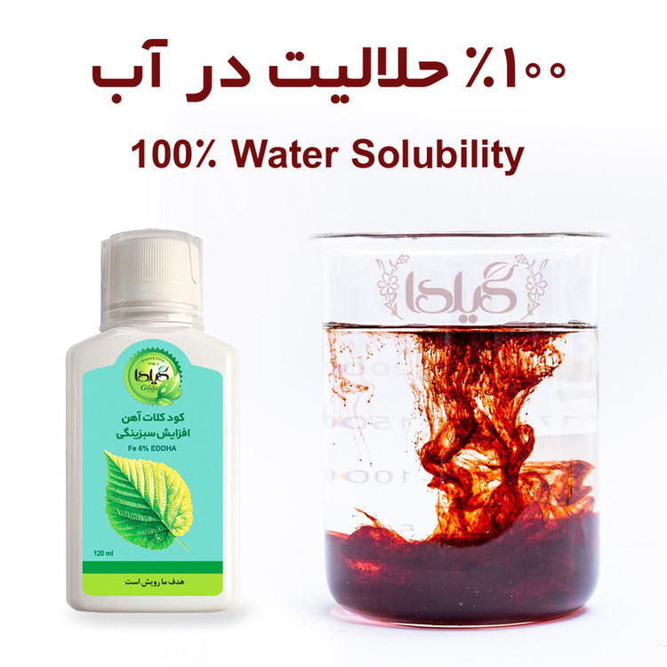 کود مایع کلات آهن افزایش سبزینگی گیلدا مدل Fe6-EDDHA حجم 120 میلی لیتر