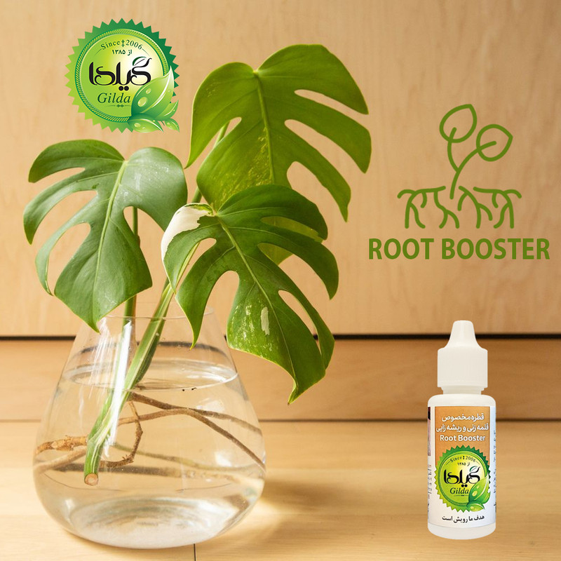 کود مایع قلمه زنی و ریشه زایی گیلدا مدل Root Booster حجم 30 میلی لیتر