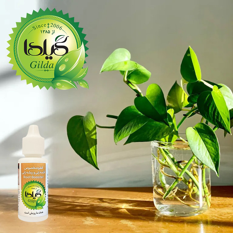 کود مایع قلمه زنی و ریشه زایی گیلدا مدل Root Booster حجم 30 میلی لیتر