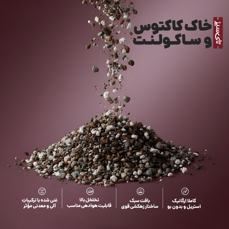 خاک کاکتوس و ساکولنت تای سیز مدل TCM2 حجم 2 لیتر