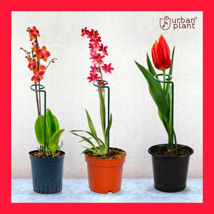 پایه نگهدارنده گیاه مدل 30cm کدYWI89 مجموعه شش عددی