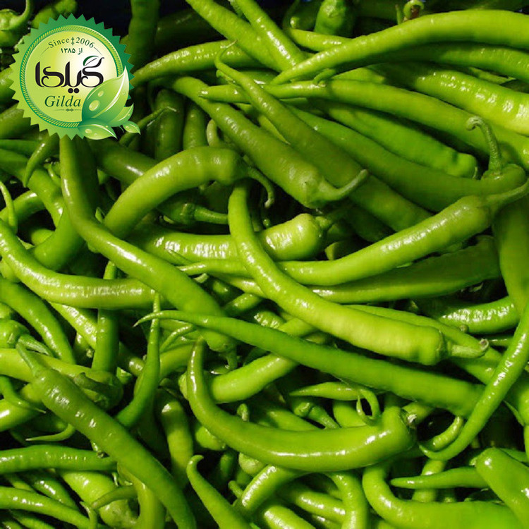 بذر فلفل شیرین قلمی گیلدا کد 353