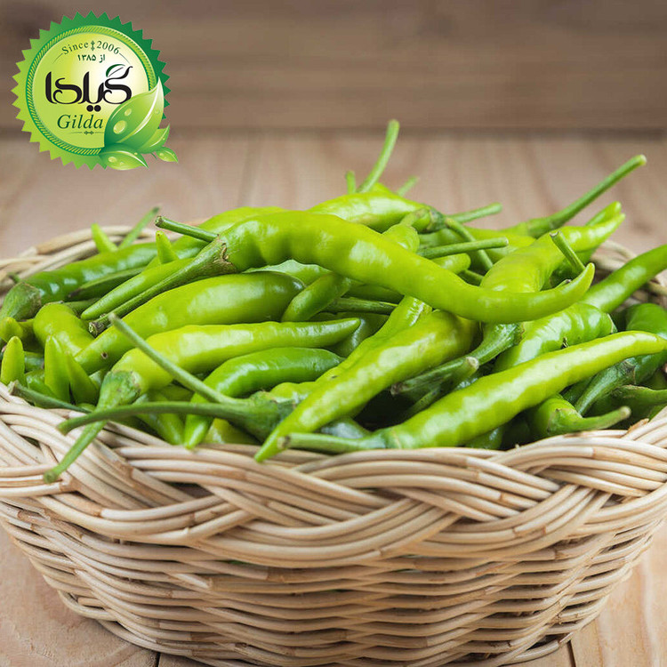بذر فلفل شیرین قلمی گیلدا کد 353