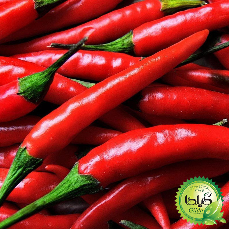 بذر فلفل تند چیلی گیلدا کد 352