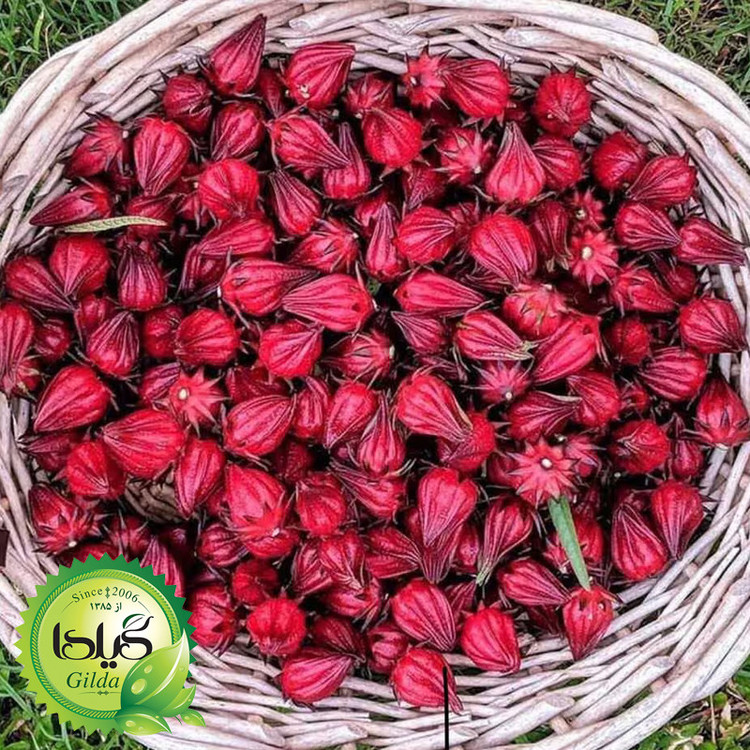 بذر چای ترش گیلدا کد 165