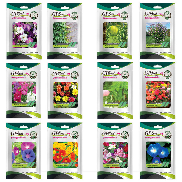 بذر گل های باغچه ای و گلدانی رونده با رویش آسان گلبرگ پامچال کد G-P-GP-012 مجموعه 12 عددی